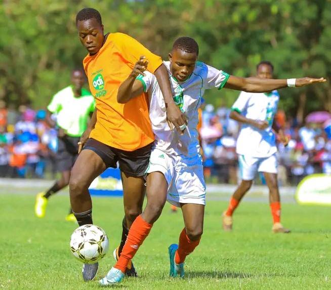 Home Jangima Shielding Opponent